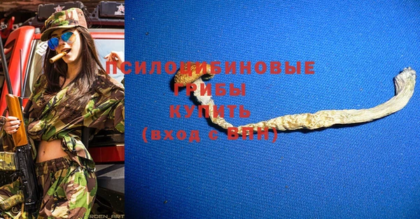 МДПВ Горно-Алтайск