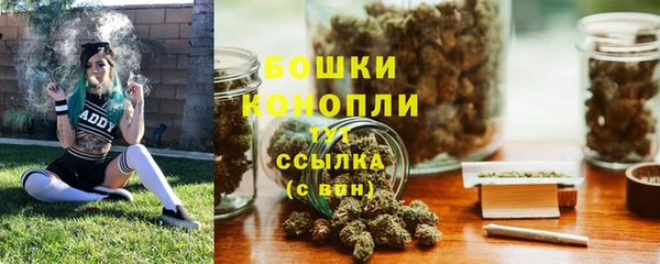скорость Вяземский
