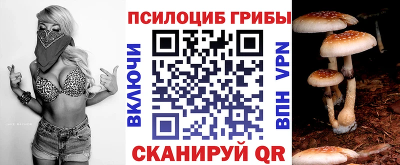 Псилоцибиновые грибы прущие грибы  mega ONION  Чишмы 